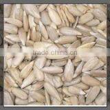 Chinese Sunflower Kernels Bakery Grade New Crop