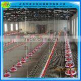 Automatic Poultry Farm Feeding Line thumbnail-5