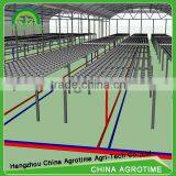 High Benefit Agriculture Hydroponic Green House for Lettuce for Sale thumbnail-2
