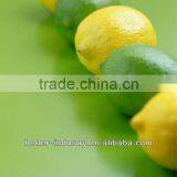 200L Lemon Essential Oil Extraction Machine on Sale (EC) thumbnail-1