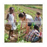 Large Shovel Anis Green Outdoor Toys thumbnail-2