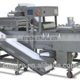 Breading Machinery Used for Coating Food thumbnail-3