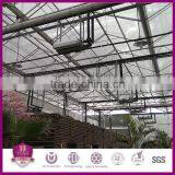 10 Years Guarantee 8/10mm Cheap Polycarbonate Greenhouse Sheet thumbnail-1