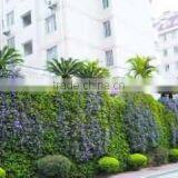 Plant Climbing Net thumbnail-1