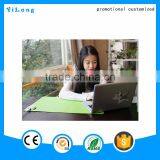 Waterproof Pet Small Electric Blanket Animal Electric Heating Pad Customized Electric Flexible Silicone Rubber Heating Pad thumbnail-5