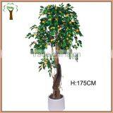 Artificial Tangerine Tree With Fruits Sale thumbnail-1