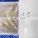 HOSO Sea White Shrimps thumbnail-1