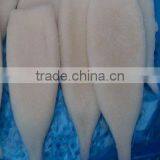 Frozen Squid Tubes thumbnail-1