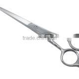 Professional Hairdressing Scissors