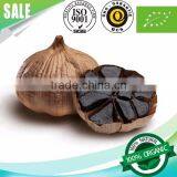 Cheapest High Quality Wholesale Fermented Many Heads Black Garlic thumbnail-2