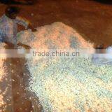 South Indian Jasmine Essential Oils thumbnail-2