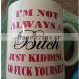 I'm Not Always a Bitch, Just Kidding 11 oz Mug Funny Coffee Humor