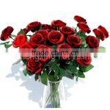 CX-A-69A Red Rose Rex Rabbit Fur Flowers Hand-made Flower Livingroom Decoration thumbnail-2