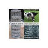 Field Fence thumbnail-1