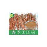 Salvia Miltiorrhiza Extract