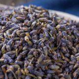 Lavender Flower Herbal Tea Calm the Nerves thumbnail-3