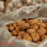 2020 The Best New Crop Liaoxi Walnut Inshell thumbnail-4