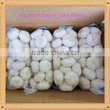 2016 New Crop Fresh Garlic in 10kg Mesh Bag and Carton China Export Garlic thumbnail-2
