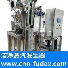 CLEAN STEAM GENERATOR-PURE STEAM GENERATOR thumbnail-4