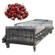 Multi-use Fruit and Vegetable Grading Machine