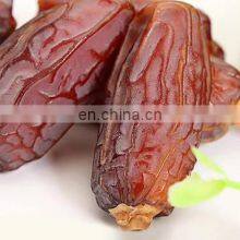 Factory Genyond Fruit Seeds Removing Machine Plum Core Pitting Equipment /cherry Pitter /fruit Stoner Machine thumbnail-5