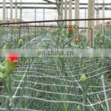 Trellis Netting Roll thumbnail-3