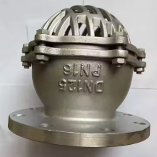 ANSI Bottom Foot Valve 4in 150lb Cast Steel Cast Iron Ductile Iron GGG40 GGG50 Lift Strainer Flange Fitting With 304 Screen thumbnail-6