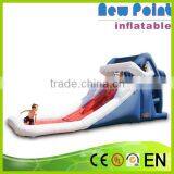 New Point 2015 Summer Inflatable Water Slide N Small Pool