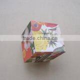 Paper Pad thumbnail-1