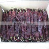 New Crops, Xinjiang China ,dry Paprika Pods,chilli Pepper thumbnail-4