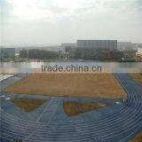 Blue Color Rubber Racing Tracks by IAAF Certificate thumbnail-1