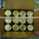 Suvimie Organic Virgin Coconut Oil 1 lt thumbnail-3