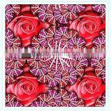 High Quality Transfer Film for Leather