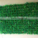 Artificial Grass