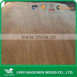 Natural Gurjan Veneer for India Market 0.3mm & 0.5mm thumbnail-4