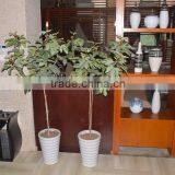 2016 High Quality Artificial Bonsai For Hotel Decoration thumbnail-3