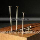 Black Polish Common Wire Nail/Wire Holding Nails