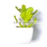 Fresh Green Artificial Succulent Plant in a Decorative Square Pot thumbnail-1