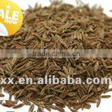 price for cumin seeds