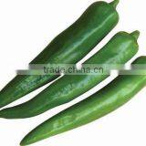Hybrid Green Hot Horn Pepper Seeds for Growing-PS007B thumbnail-1