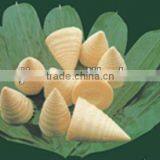 Canned Bamboo Shoots in Water thumbnail-3