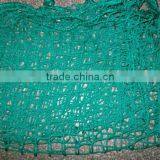 Green Cargo Net with Good Quality