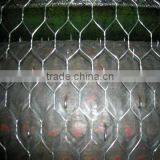 Hexagonal Wire Netting thumbnail-1