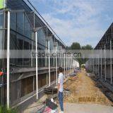 Large Tunnel Galvanized Agricultural Greenhouse for Green Vegetables thumbnail-1