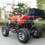 Hot Sale Buggy 4x4 for Adults thumbnail-4