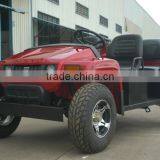 off Road Electric Utility Vehicle UTV thumbnail-5