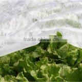 Hot sale!Qingdao PP Nonwoven Fabric Ground Cover