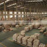 Foshan Shunde District Sangzi Import & Export Co., Ltd. company overview - view 2 thumbnail