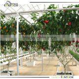 Hydroponics System for Greenhouse