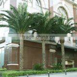 Home Garden Edging Decorative 5ft to 16ft Height Outdoor Artificial Green Plastic Palm Trees EDS06 0830 thumbnail-6